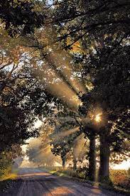 One More Reason To Praise His Name Nature Photography Nature Pictures Beautiful Nature