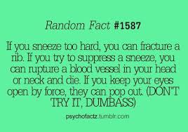 Random Facts Random Facts Wtf Fun Facts Life Facts