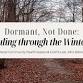 Dormant Not Done: Healing through the Winter event image