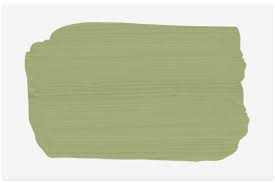 10 Best Green Paint Colors We asked a handful of designers to share the color palettes they're using now to give rooms a refresh.