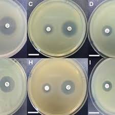 Christopher CONCHA PUJADO