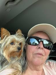 Kingdom 320 FREE Group