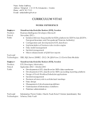 Login screen appears upon successful login. Cv Stefan Lindborg