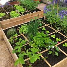 Les 10 Erreurs Du Debutant Au Potager Et Verger Jardin En Carre Potager Jardin Potager