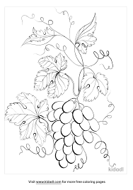 Collection by muse printables • last updated 18 hours ago. Grape Vine Coloring Page Free Plants Coloring Pages Kidadl