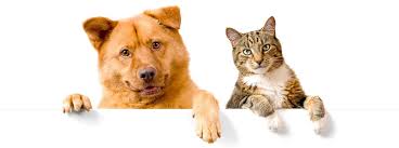 Cancer is widespread in the animal kingdom; Cancer In Sports And Companion Animals