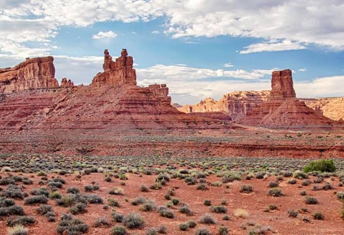 Restore Bears Ears and Grand Staircase-Escalante - WildEarth Guardians