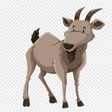 Check spelling or type a new query. Drawing Of Family Goat Cartoon Goats Donkey Deer Horn Wildlife Goat Drawing Cartoon Png Pngwing