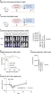 With friends from the orchestra. Inclusion Of An Igg1 Fc Spacer Abrogates Efficacy Of Cd19 Car T Cells In A Xenograft Mouse Model Gene Therapy