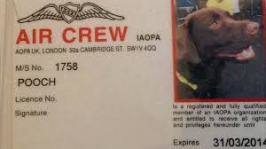 Leighton Buzzard Flying Dog Gets Crew Card Flying Dog Dogs Crew