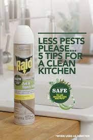 Raid ant & roach killer 26 has a special formula that kills on contact and keeps killing with residual action for up to 4 weeks* * roaches and carpenter ants. Pin On Apocalypse Survival Art