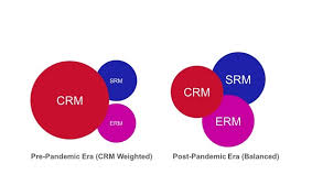 Supplier Relationship Management: Supporting a new era for growth