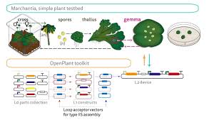High performance mechanisms for low cost science. Openplant Toolkit Lab On The Cheap