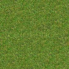 Grizzly grass dark green plush carpet (indoor or outdoor) model #7grrd870072l. Seamless Tileable Texture Of Green Stock Image Colourbox
