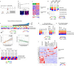 Co.april2019.arvind) is developed by apkwith. A Human Liver Cell Based System Modeling A Clinical Prognostic Liver Signature For Therapeutic Discovery Nature Communications
