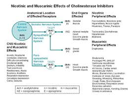 Image result for Cholinergic Toxicity