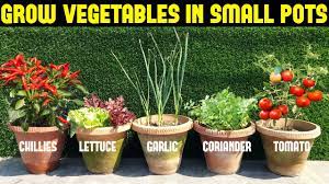 It is simple and easy and oh so rewarding, whether done on a patio in the suburbs or a. Vegetables You Can Grow In Small Pots Small Space Gardening Youtube