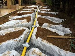 İlkbaharda ağaçları sulamaya başlayın… ağaçlar yaprak çıkarmadan önce suya ihtiyaç duyarlar. Sulama Ve Drenaj Sistemleri Yesil Atolye