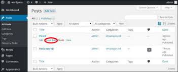 Biasanya, pengguna akan menulis kemudian. Cara Menambahkan Edit Hapus Pratinjau Dan Publikasikan Postingan Di Wordpress Theme Id