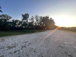 Robert's Bluff Camping