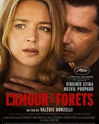 Festival de Cine Francés...