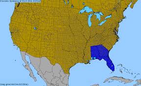 Image result for Pascalia glauca