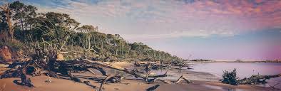 Travel may be permitted only for certain purposes and in particular, touristic travel may not be allowed. Amelia Island Guide The Official Website Of Amelia Island Fl Fernandina Beach Fort Clinch And Amelia Accommodations Hotels Vacation Rentals Restaurants Events Entertainment And More
