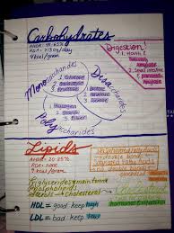 Pin By Brownbeauty On Nutrition Study Guide School Nutrition Nursing School Survival Medical School Studying