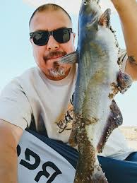 CaLiFoRnIa aQuAdUcT CaTfIsHiNG.