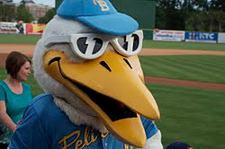 Myrtle Beach Pelicans Wikipedia