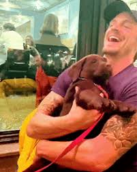 Aug 28, 2019 · tap to play or pause gif national geographic / via giphy.com. Joel Kinnaman Puppy Gif Joelkinnaman Puppy Discover Share Gifs