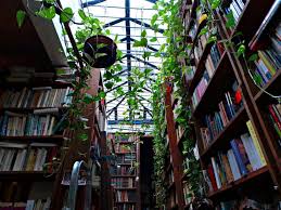 Esta es de diseño simétrico y eso da más sensación de orden. Librerias Babilonia Libros En Montevideo Mientrasleos Cool Photos Montevideo Book Nooks