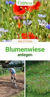 Es Wird Bunt So Legen Sie Eine Blumenwiese An In 2020 Blumenwiese Anlegen Blumen Wiese Blumenwiese