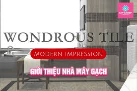 Giới thiệu về nhà máy gạch Foshan Wondrous Building Materials