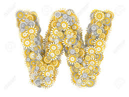 He has been featured as a tax expert on good morning americ. Alphabet From Camomile Flowers Letter W Shape Stock Photo Picture And Royalty Free Image Image 17907552