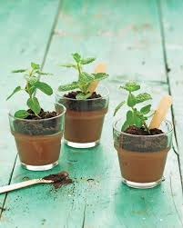 Potted Chocolate Mint Puddings Recipe Recipe Spring Recipes Dessert Mint Chocolate Spring Desserts