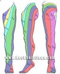 Pin On Sciatica Cure