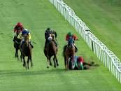 Image result for Kevin Blake is he bloodhorse literate?