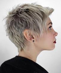 This haircut will be the best complimentary to your party look. 50 Short Pixie Cuts And Hairstyles For Your 2020 Makeover Hair Adviser
