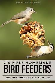 Homemade Bird Feeders For Small Birds Only Backyard Bird Watching Is Fun For The Whole Family Make It Even More Enjoyable By Making Homemade Bird Food Homemade Bird Feeders Bird Feeders Diy Bird Feeder