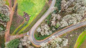 A subreddit to discuss news around the dji mavic mini as well as share photos and videos from the mini. Gear Of The Year 2019 Dan S Choice Dji Mavic Mini Digital Photography Review