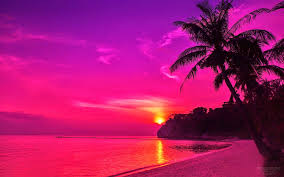 Pink Beach Sunset Beach Sunset Wallpaper Sunset Wallpaper Sunset Pictures
