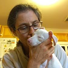 Piglity is turning 8! And as we all know, Piglet's pack knows how to party  with CUPCAKES for all the dogs. Definitely a "be there" event. Come  celebrate our precious little pink