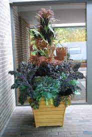 At A Glance A Collection Of Fall Containers Fall Container Gardens Fall Containers Fall Flower Pots