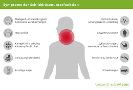 Du gibts dem körper mit den tabletten nichts anderes als das, was die sd sonst alleine produzieren würde. Schilddruse Funktion Untersuchung Erkrankungen Vorbeugung
