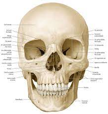 Aunque abertura y apertura proceden del verbo abrir, no deben emplearse indistintamente, ya que cada uno tiene un uso especializado. Apertura Piriformis Med Kom