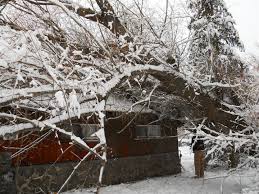 Looking for a property damage restoration in spokane? Servicemaster Fire Water Restoration By Compass 2503 E Riverside Ave Spokane Wa 99202 Yp Com