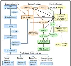 qualified cognitive functions chart 2019