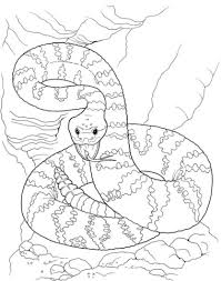 1200x895 rattlesnake coloring page compilation free coloring pages. Dangerous Rattlesnake Coloring Page Free Coloring Library