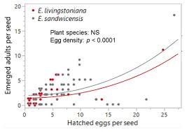 Image result for Physostigma mesoponticum